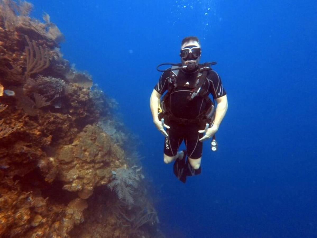 Hotel And Dive Center Roatan Yacht Club French Harbour Εξωτερικό φωτογραφία