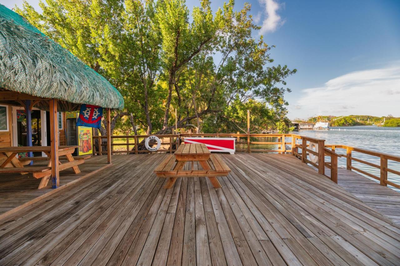 Hotel And Dive Center Roatan Yacht Club French Harbour Εξωτερικό φωτογραφία