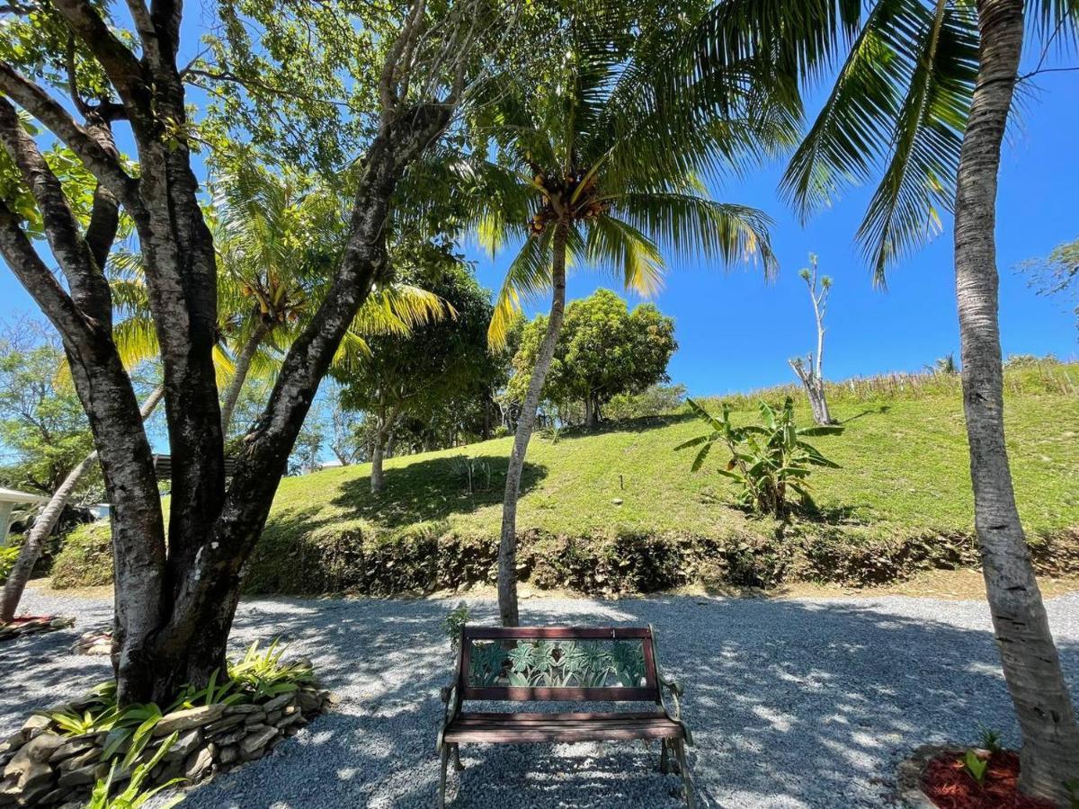 Hotel And Dive Center Roatan Yacht Club French Harbour Εξωτερικό φωτογραφία